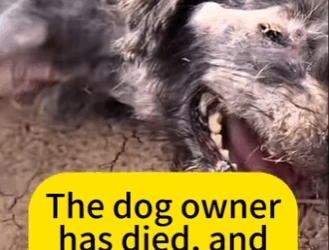 A1211002 No compramos amor, lo rescatamos (Parte 2)