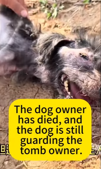 A1211002 No compramos amor, lo rescatamos (Parte 2)