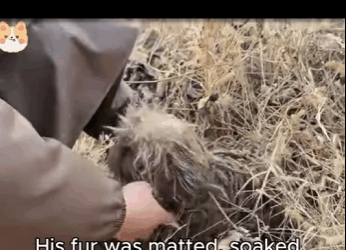 A1311005 Transforma el dolor en esperanza (Parte 2)