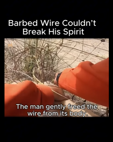 A1311004 Cada vida importa, cada rescate cuenta (Parte 2)