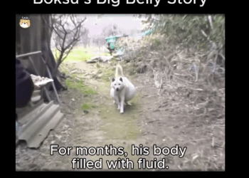 A1311003 Su felicidad comienza contigo (Parte 2)