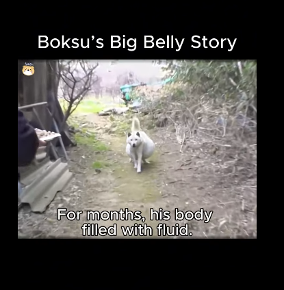 A1311003 Su felicidad comienza contigo (Parte 2)