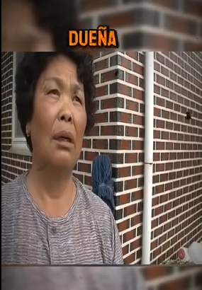 H1311003 hora de llorar(Parte 1)