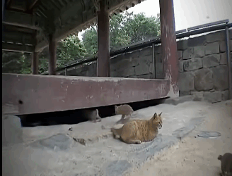 H1311006 la abandonaron pero su vida dio un giro inesperado (Parte 2)