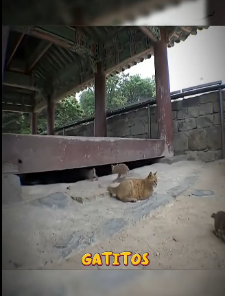 H1311006 la abandonaron pero su vida dio un giro inesperado (Parte 2)