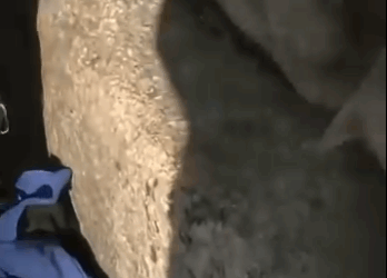 H1311004 ella es una verdadera madre (Parte 2)