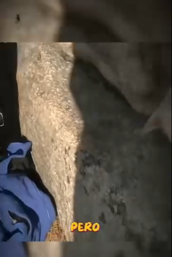 H1311004 ella es una verdadera madre (Parte 2)