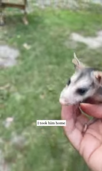 R1211008 Un pequeño milagro con cuatro patas (Parte 2)