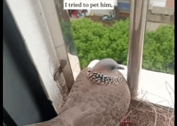 R1211006 Del miedo al amor en solo un abrazo.(Parte 2)