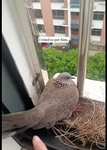 R1211006 Del miedo al amor en solo un abrazo.(Parte 2)