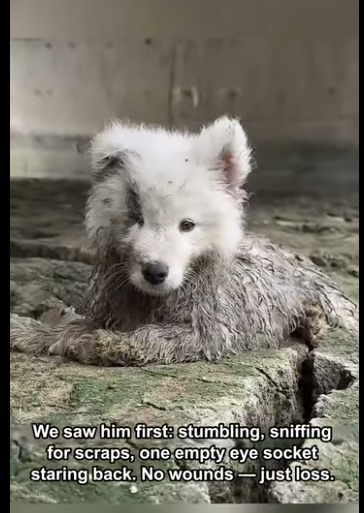 E1211003 No los ignores, ellos también sienten (parte 2)