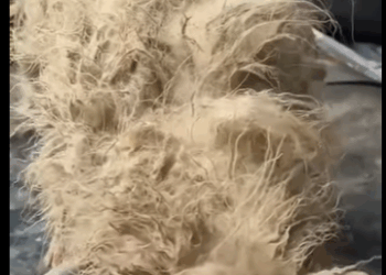 E1211001 Detrás de cada rescate hay esperanza (Parte 2)