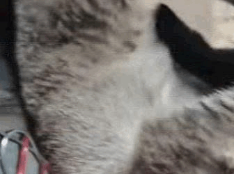 Mira la parte 2 en los comentarios (Parte 2)