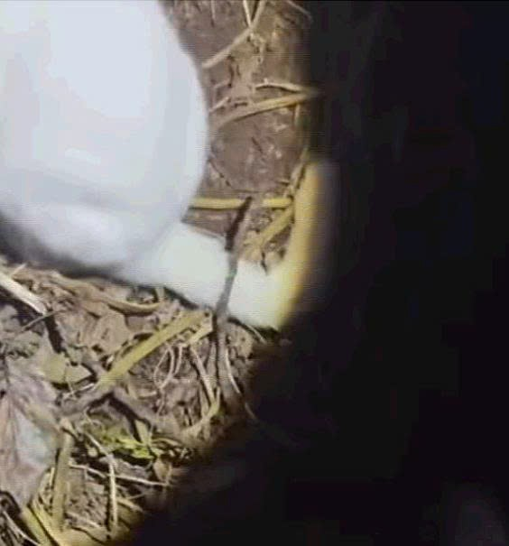 Ellos también son familia (Parte 2)