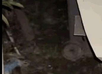 Haz el bien, aunque sea pequeño.