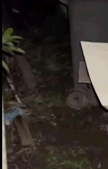 Haz el bien, aunque sea pequeño.