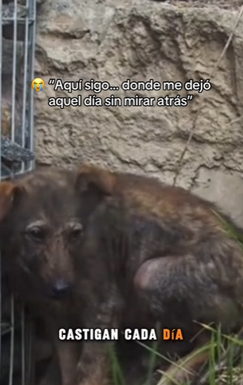 H1411006 Aquí sigo donde me dejó aquel día sin mirar atrás (Parte 2)