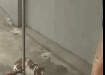 H1411002 Esta historia te hará llorar (Parte 2)