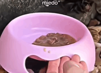 H1411005 Yo no era malo solo tenía miedo (Parte 2)