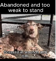 A1111003  Del miedo al amor en solo un día. (Parte 2)