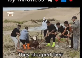 A1411007 Atrapado en el barro, salvado por la bondad (Parte 2)