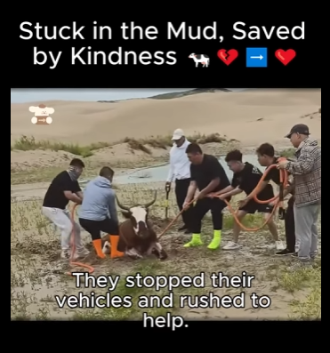 A1411007 Atrapado en el barro, salvado por la bondad (Parte 2)