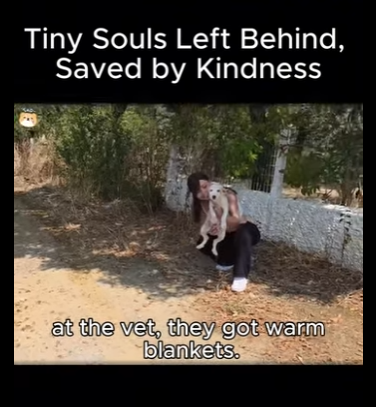 A1411010 Pequeñas almas olvidadas, salvadas por la bondad (Parte 2)