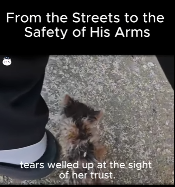 A1411011 Calles a la seguridad de sus armas (Parte 2)