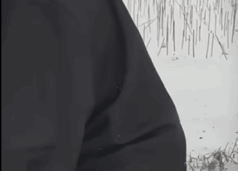 Perrito se encontraba abandonado temblando de frío #subscribe#shorts#virals part2