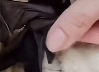 U1411002 Rescue isn’t just an action — it’s love in motion (Part 2)