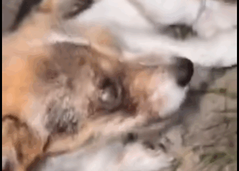 U1411003 They only need a chance to feel safe again (Part 2)