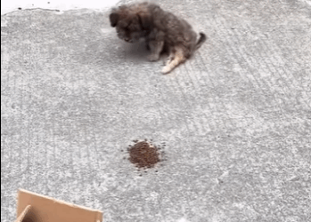 U1411004 Hope begins the moment you choose to help (Part 2)