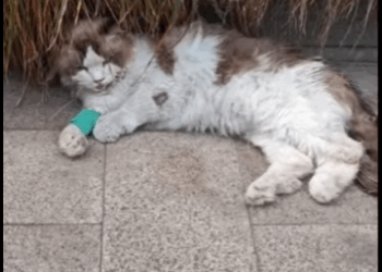 U1411005 Their eyes say everything words cannot (Part 2)