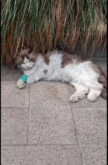 U1411005 Their eyes say everything words cannot (Part 2)