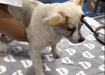 U1411012 Saving them saves a part of us too (Part 2)