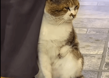 U1411006 A little love can heal a broken heart (Part 2)