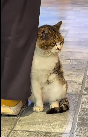 U1411006 A little love can heal a broken heart (Part 2)