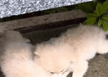 U1411008 They didn’t choose the streets — help them choose life (Part 2)