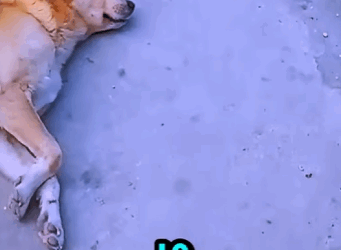 El Reencuentro Que Nadie Esperaba Reunion Nobody Expected (Parte 2)