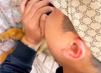 U0912001 pobre cãozinho encontramos no meio do lixo (Parte 2)