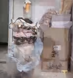 R0912004 Gansos de rescate (Parte 2)