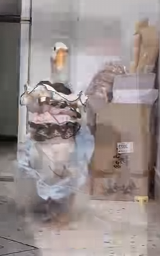 R0912004 Gansos de rescate (Parte 2)