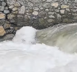 U1012003_cachorro atravessando rio correnteza forte (Parte 2)