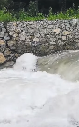 U1012003_cachorro atravessando rio correnteza forte (Parte 2)