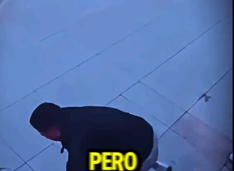 V0102001 Hombre Enfrenta Perro Salvaje Para Salvar Su Gato (Parte 2)