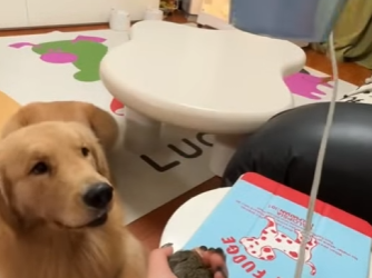 R1112006 Ardillas de rescate (Parte 2)