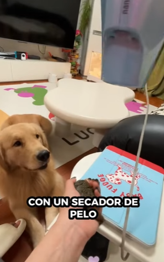 R1112006 Ardillas de rescate (Parte 2)