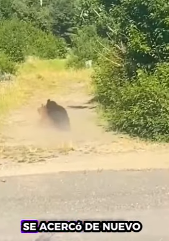 R1112008 Rescatar al alce (Parte 2)