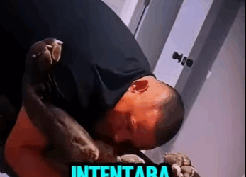 V0102006 Mastín Napolitano Desata Su Instinto Salvaje Con Su Dueño (Parte 2)