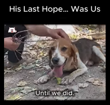 C0809011 His Last Hope Was Us (Part 2)